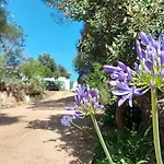 アパート Catalina, Vista Spettacolare Tra Mare E Ginepri