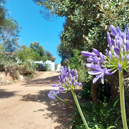 Apartament Catalina, Ritorno Al '70 Tra Mare E Natura