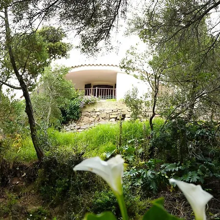 Catalina, Ritorno Al '70 Tra Mare E Natura Apartament *