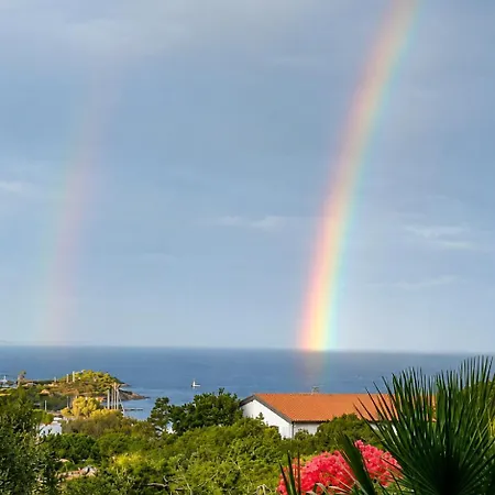 Catalina, Tra Mare E Natura *